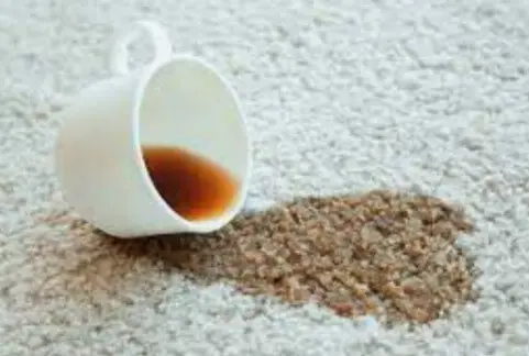 carpet stain removal near me